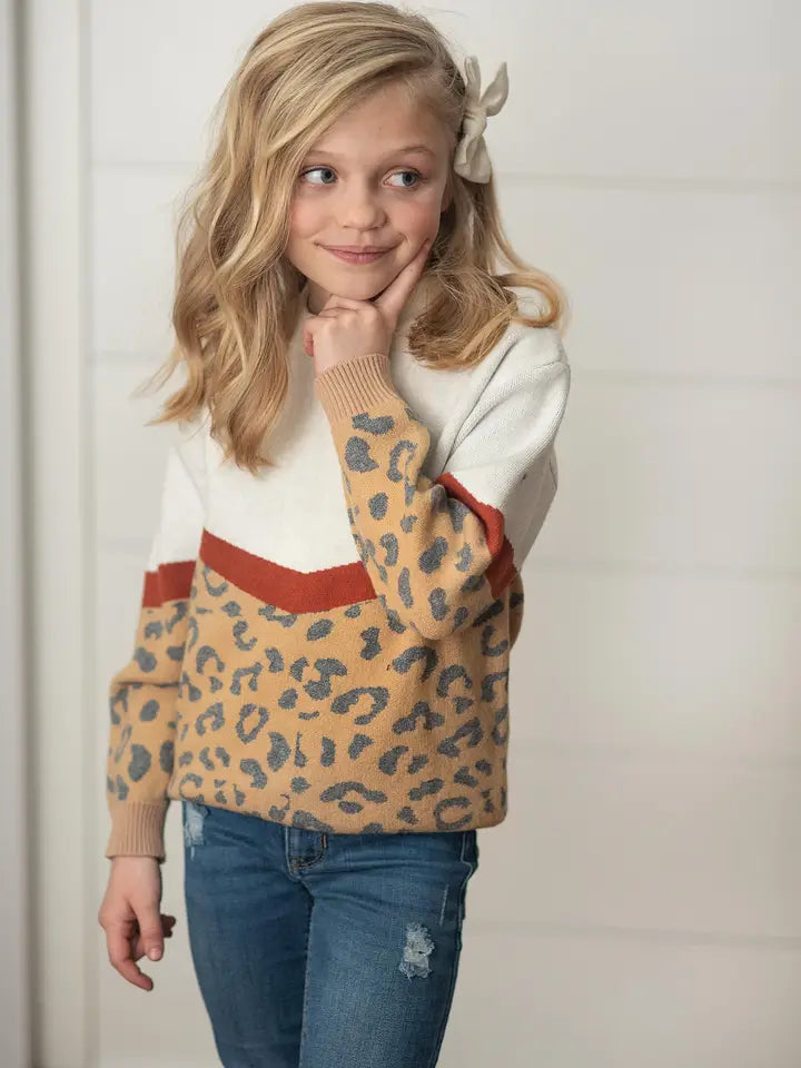 Leopard Color Block Sweater