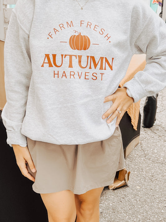 Autumn Harvest Pullover